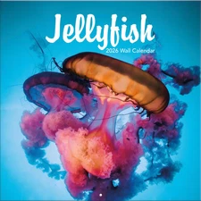 Turner Licensing,  Jellyfish Photo 2026 Wall Calendar, 12'' X 12'', 12-Month Cal