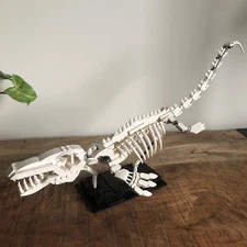 Compatible Mosasaur Skeleton Dinosaur Fossils with Posable Fins and Tail