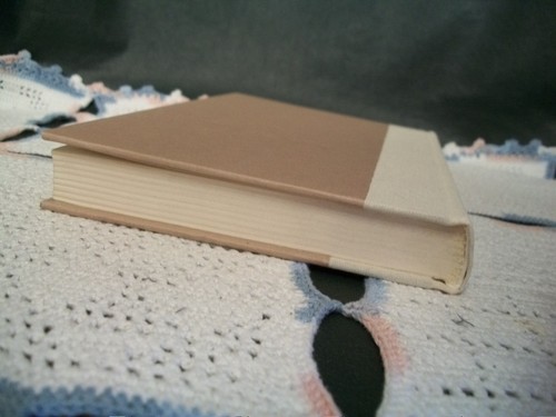 Tefuga (Peter Dickinson, 1986 1st US Edition HCDJ) - Foto 10 di 12