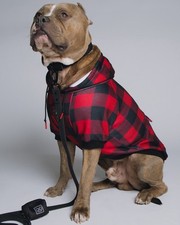L DIXXON FLANNEL CO Fur Family Dog Hoodie - Redrum