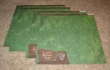 Reminisce 12x12 Double Sided Paper(4) ~ Olympic National Park