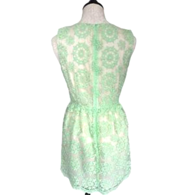 green dress with white lace overlay Annalise Velvet V Neck Fit And Flare Mini Dress main image 1