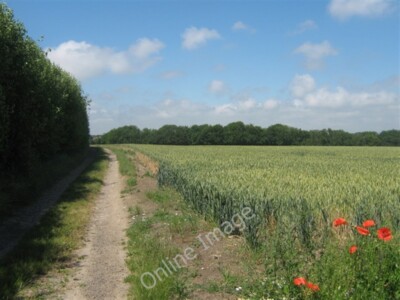 Foto 6x4 Freizügiger Weg zum Malerforstal Plumford Dieser Weg ist bee c2009