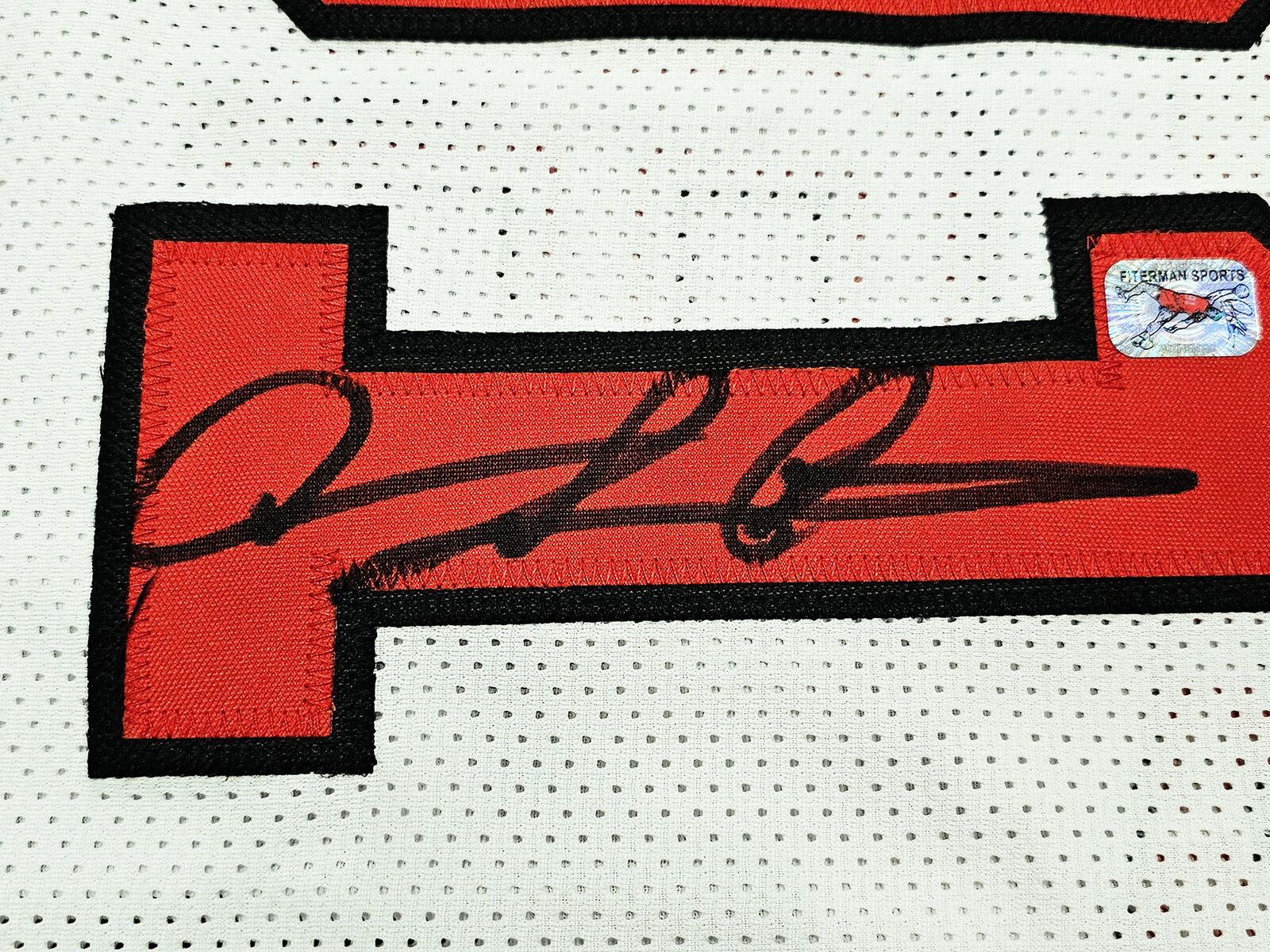 Chicago Bulls Dennis Rodman Autographed White Jersey 5x Champs JSA Stock  #215740 - Mill Creek Sports
