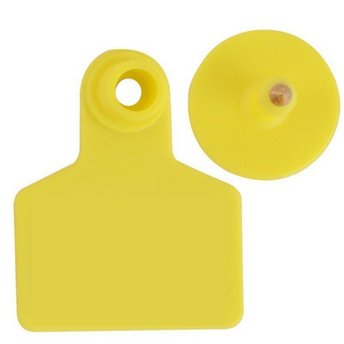 100 SMALL LARGE EXTRA LARGE BLANK or NUMBERED CATTLE LIVESTOCK PLASTIC EAR TAGS - Picture 4 of 34
