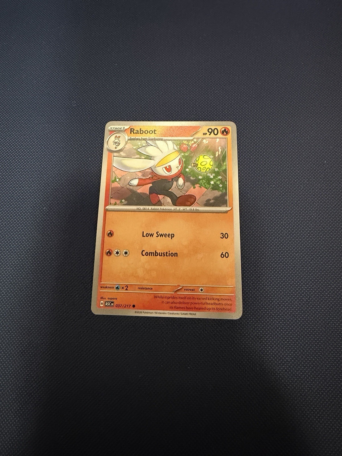 Raboot - 037/217: Ascended Heroes Near Mint