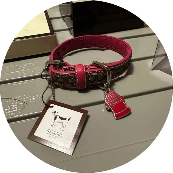 Coach XS Dog Collars for sale | eBay