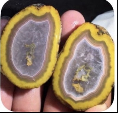  Beautiful Rare Warring State Agate Geode Crystal Quartz Unpolished # Q