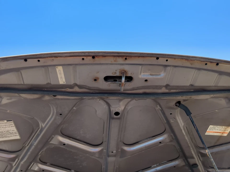 1998-2000 Honda Accord Hood Oem HV03W - Image 2 of 4