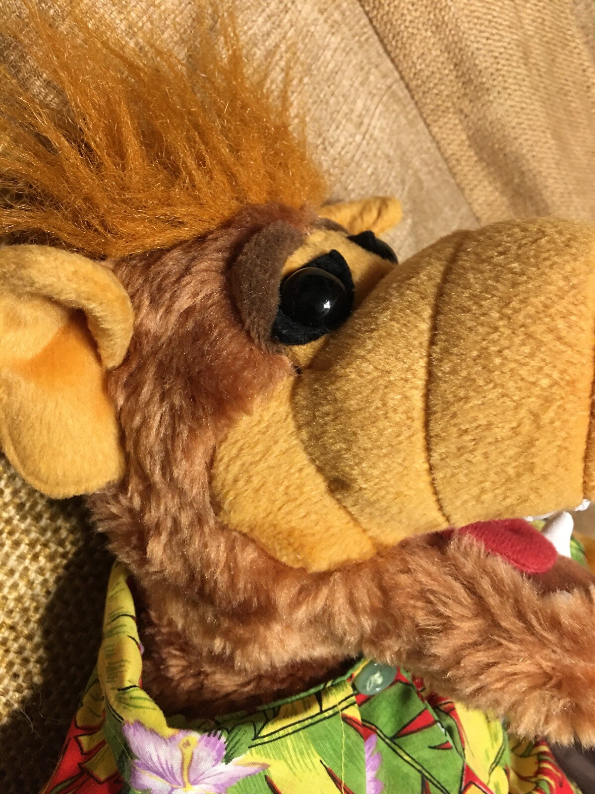 alf teddy