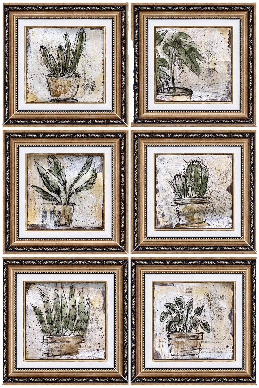 Dibujos de arte botánico de carbón