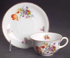 Pirkenhammer Dresden Cup & Saucer 1169302