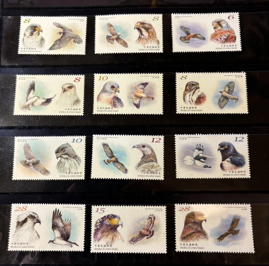 台湾鸟类邮票| eBay