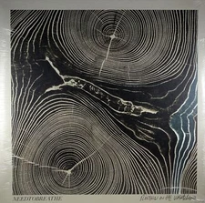 NEEDTOBREATHE Rivers In The Wasteland NEW Vinyl LP Christian Contemporary Rock