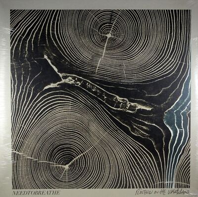 #ad NEEDTOBREATHE Rivers In The Wasteland NEW Vinyl LP Christian Contemporary Rock $25.00