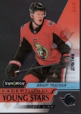 2020-21 Synergy Exceptional Young Stars #EY6 Brady Tkachuk /749 - HKY