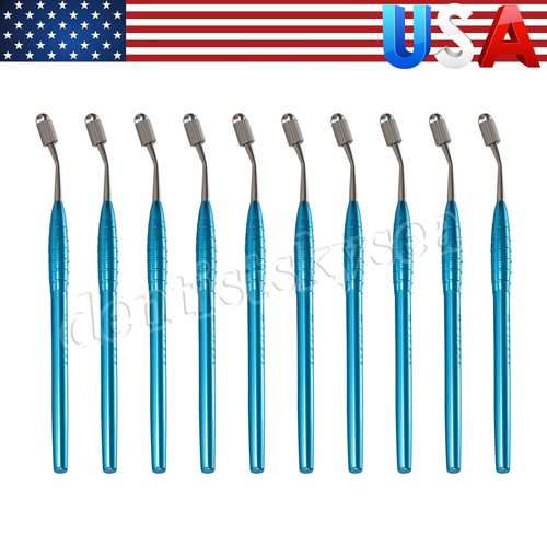 File endodontico dentale supporto canale radicolare posteriore alesatori file Niti uso manuale - Foto 12 di 60