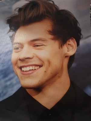 Harry Styles Poster