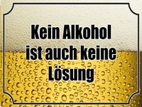 Holzschild 30X40 Cm Bier Kein Alkohol Keine LöSung Deko Geschenk Holz Schild