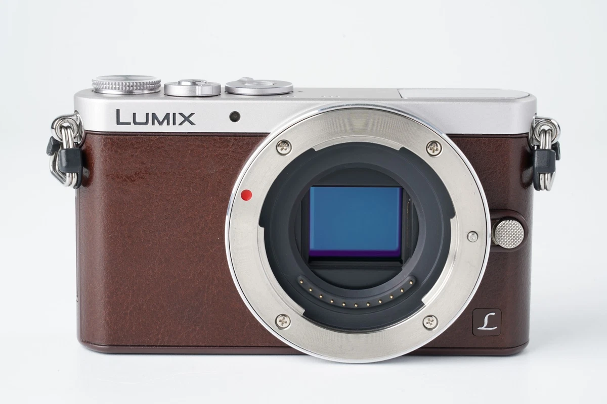 Panasonic LUMIX GM1 14-16.9MP Digital Cameras for Sale | Shop New