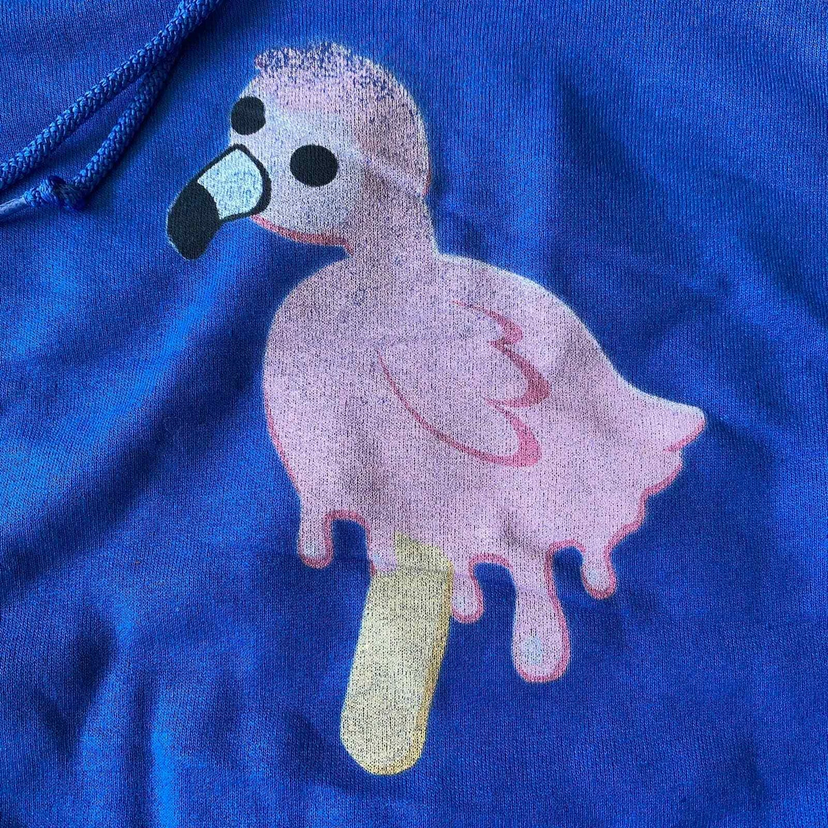 Flamingo outlet popsicle hoodie