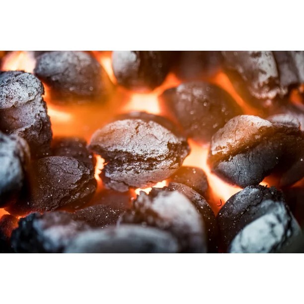 Expert Grill Lump Charcoal, All Natural Hardwood Charcoal, 8 lbs eBay