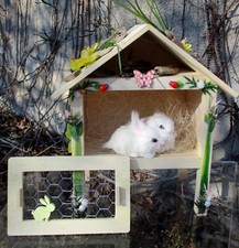 Hase Hasenstall Holz Kaninchen Hasenpaar Nr.5 Kaninchenstall Frühling Ostern