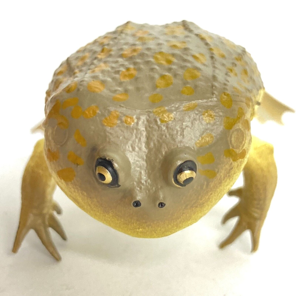 ナメタン 陽 ソフビ ナメタン森社 インディーズ アートトイ Nature Techni Colour Mini Figure Magnet Budgett's Hippo Frog