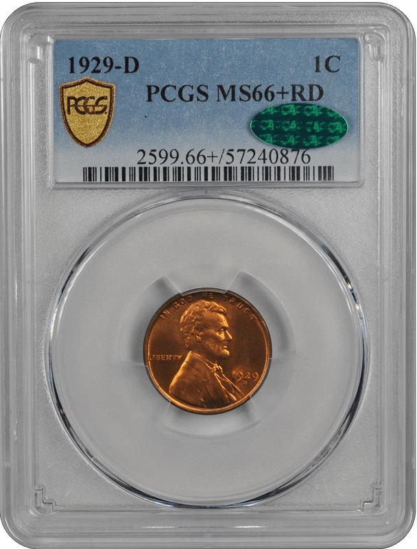 1929-D Lincoln Wheat PCGS CAC RD 66+