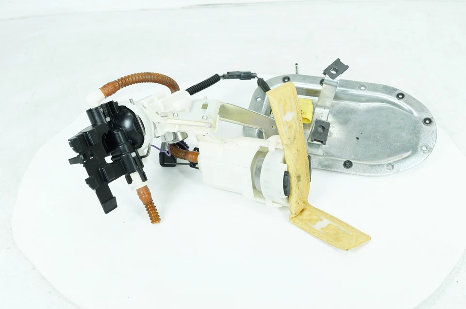 Harley Dyna Street Bob 2008 FXDBI bomba de combustible OEM gasolina envío gasolina Foto 3 de 4