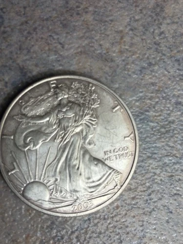 2003 American Silver Eagle $1 Dollar 1 Oz 999 Silver Coin Bullion, Toned, E22