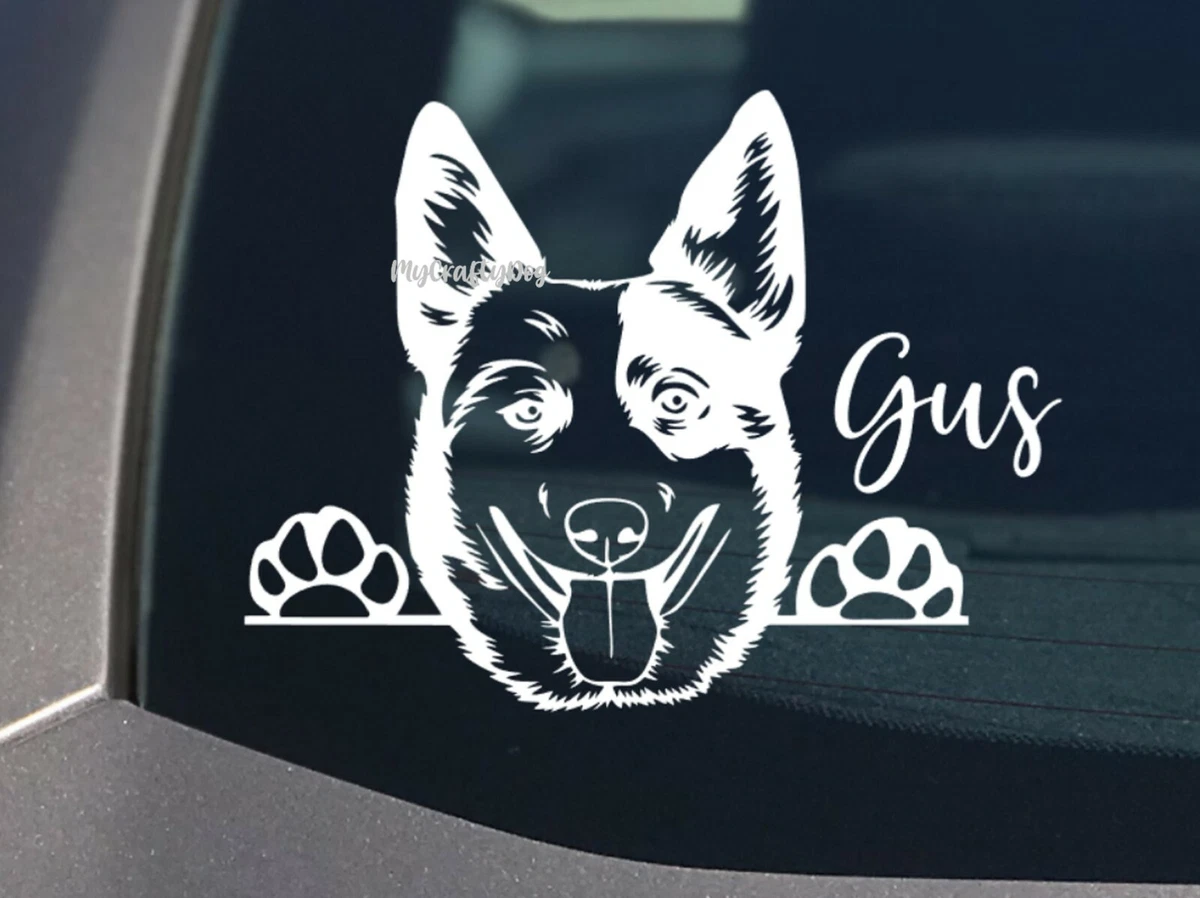 Blue heeler car best sale decal
