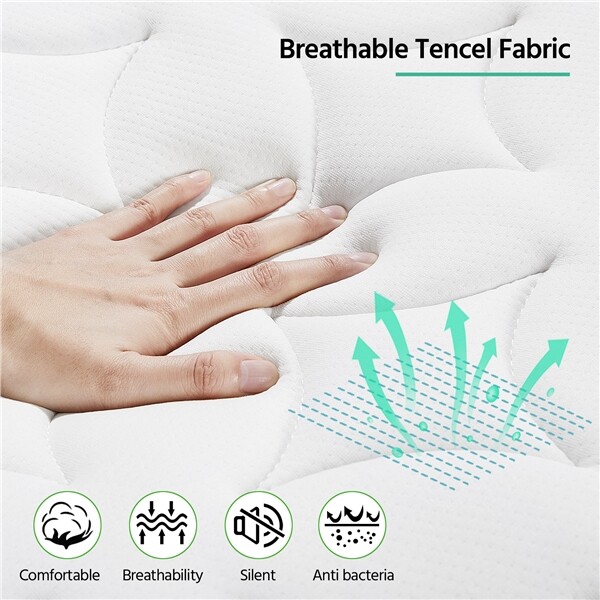 Single Mattress Pocket Sprung Single Mattress Orthopedic Single Foam