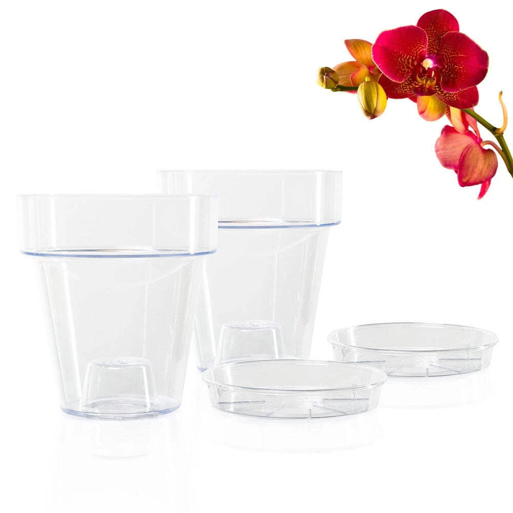 Vaso Per Orchidee In Vetro Trasparente, Rotondo, Diametro 15 Cm, Altezza 13 Cm – Con Fondo Rialzato Per Microclima Ideale - 3