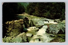 Typical Stream in Pacific Northwest down Cascade Mountains, Vintage Postcard