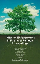 1KBW on Enforcement in Financial Remedy Proceedings by Laura Moys (English) Pape