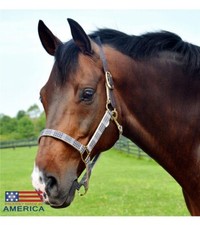 Breakaway Halter with Full Leather Crown 1"-MADE IN AMERICA-5 SIZES