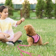 2 Pcs Pet Leash Vest Cute Dog Harness for Small Dogs Ferret Bunny