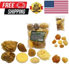 Natural Sea  Synthetic Sponges - Assorted Sizes 7pc Value Pack for Crafts  ...