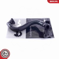 Esen SKV Schlauch KurbelgehäUseentlüFtung 54SKV038 FüR VW Golf 7 5G1 BQ1 BE1 BE2
