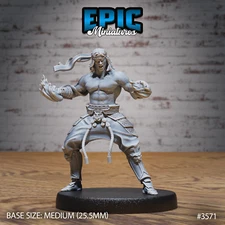Fire Kung Fu Master A by Epic Miniatures RPG D&D Pathfinder 3D Print