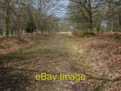 Foto 6x4 Fußweg durch Radnor Einfriedung Balmerlawn ziemlich einfach f c2008