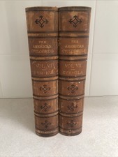Lot of 2 Volumes AMERICAN CYCLOPEDIA 1879- Volumes VI & VII Appleton & Co