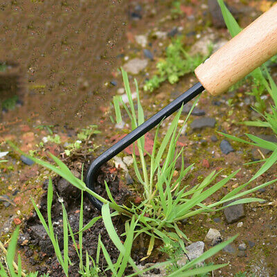 Grass Weeding Hook Root Remover Wood-handled Bonsai Hook for Stubborn Grass  Garden Plant Weeding Tool Loose Soil V-Hook 