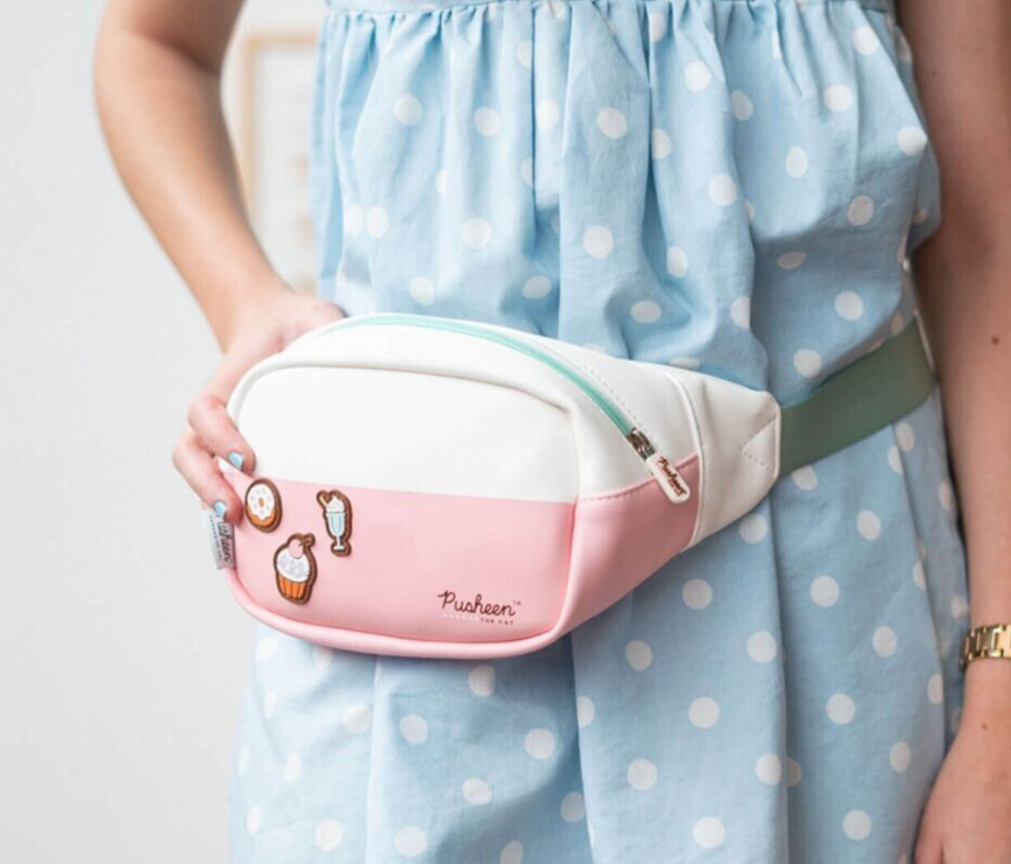 Travel Money Belt Bumbag Pusheen Bag Rose White Pink Mint Girl Birthday Gift