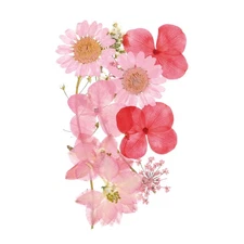 Dried Pressed Flowers Real Dry Leaves Pressed Flowers for DIY Crafts Pink
