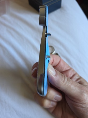 Ford Shelby Cobra Badge Emblem Plus Blue Cobra Key Ring - Picture 5 of 7