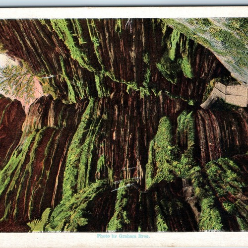 c1920s Wisconsin Dells WI Cold Water Canyon Leaning Rock Plank Path