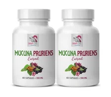 velvet beans dried - MUCUNA PRURIENS EXTRACT - mood support supplement 2 B