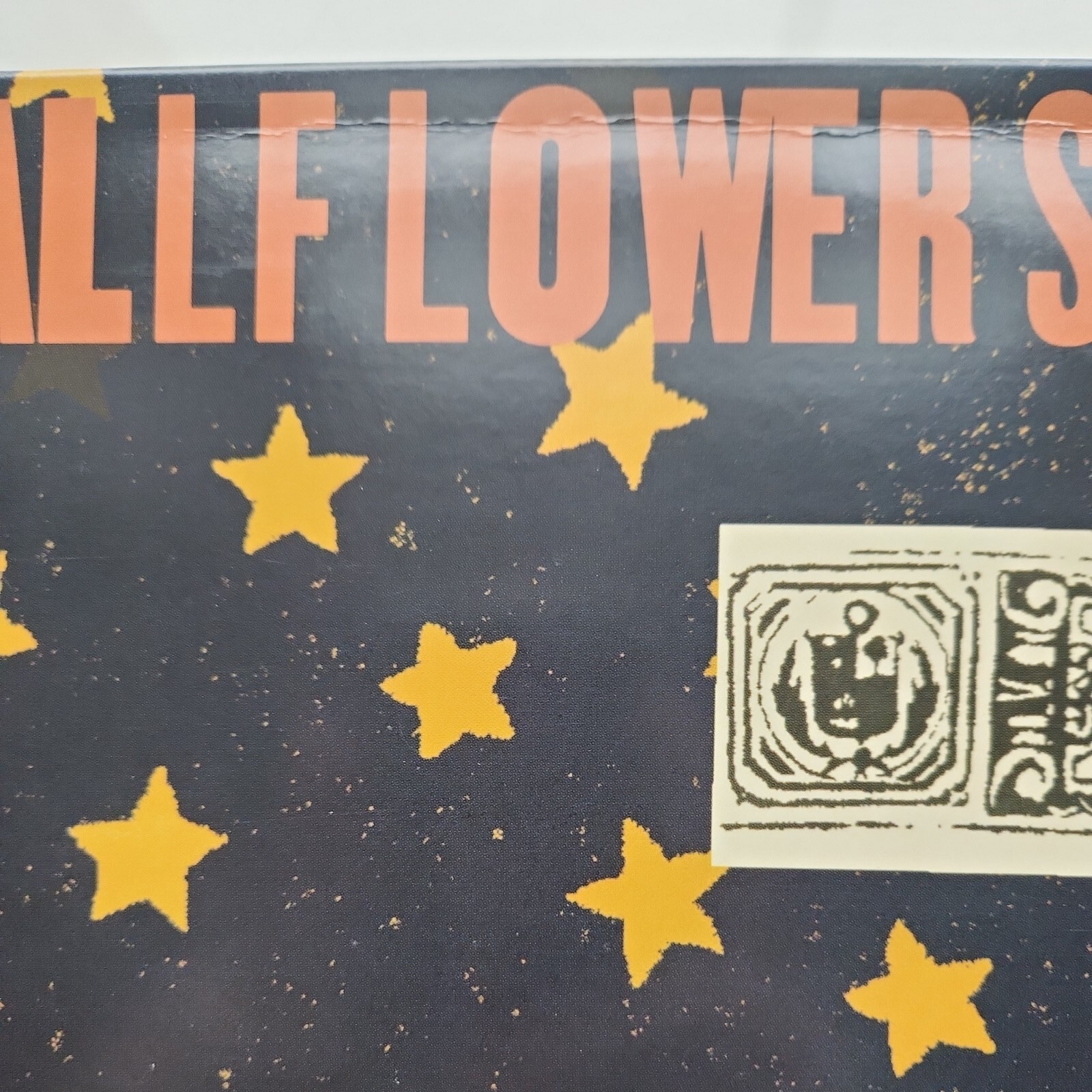 The Wallflowers Bringing Down the Horse Double LP Vinyl reissue 2016